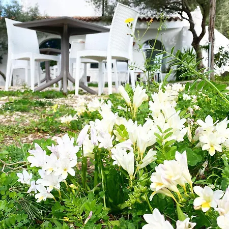 בית הארחה Il Salice 3*